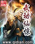 武动免费全本