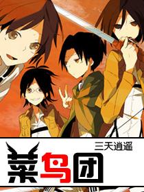 菜鸟团购打不开怎么办