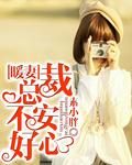 总裁的暖妻