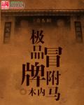 极品驸马百度百科