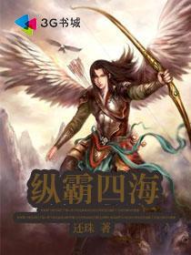 纵霸四海TXT完本免费