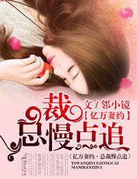 亿万总裁宠妻上瘾免费阅读