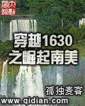 穿越1630之崛起南美全本资源