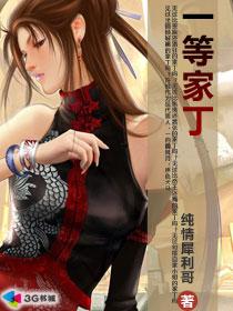 一等家丁在线观看全集免费播放