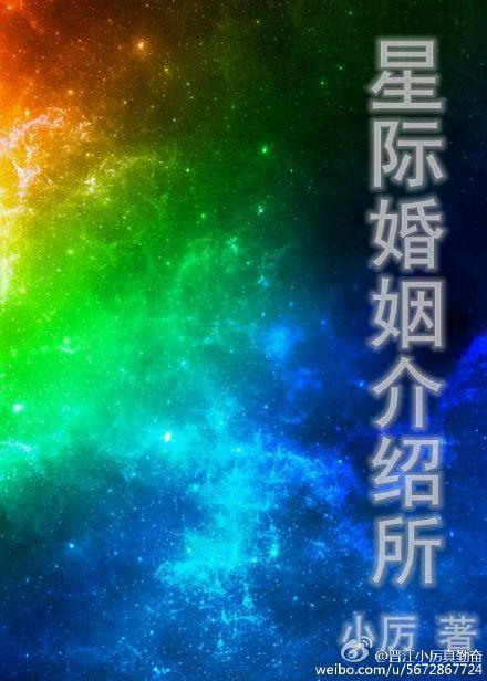 星际婚姻介绍所txt