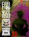 脑核风暴怎么样