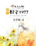 重生相守1977沈月华