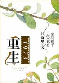 重生1973年带娃空间动漫