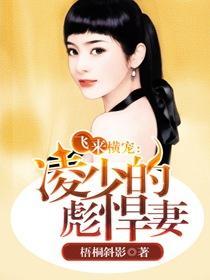 飞来横犬全文免费阅读