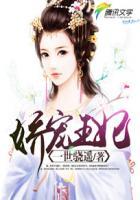 娇宠王妃录
