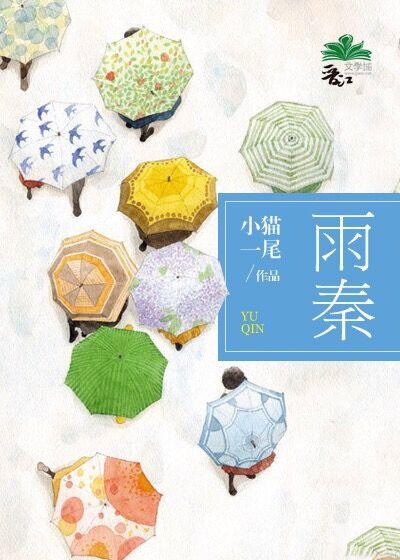 雨秦砚台