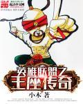 英雄联盟之王txt