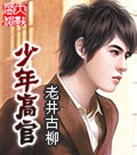 少年高官类的
