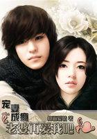 宠妻成瘾老婆再爱我吧免费阅读