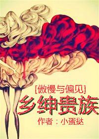 傲慢与偏见阶级之间的矛盾