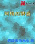 聊斋梅女是第几集