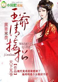 惹祸蛮妻王爷别腹黑