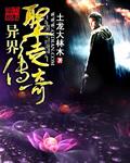 异界之圣魔奇遇