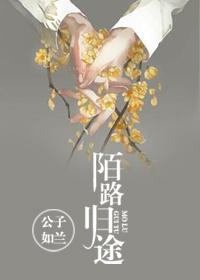 陌路归途第三季