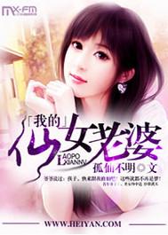 我的仙女老婆们txt