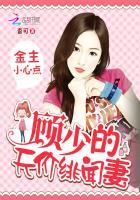金主的小情人