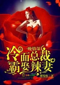 一晚情深∶冷面总裁太危险