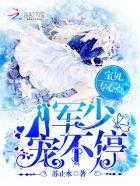 军少宠不停:宝贝,专心点