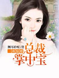 一夜惊婚:总裁掌中宝