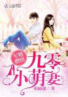 军婚燃情:九零小萌妻
