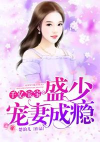 千亿宝宝:盛少宠妻成瘾