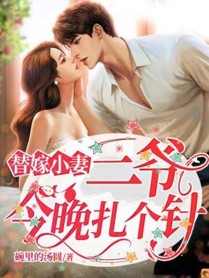 替嫁小妻:二爷,今晚扎个针!