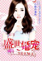 二少追妻36天:盛世婚宠