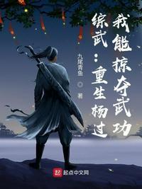 综武:重生杨过,我能掠夺武功