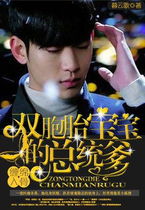 缠绵入骨:双胞胎宝宝的总统爹